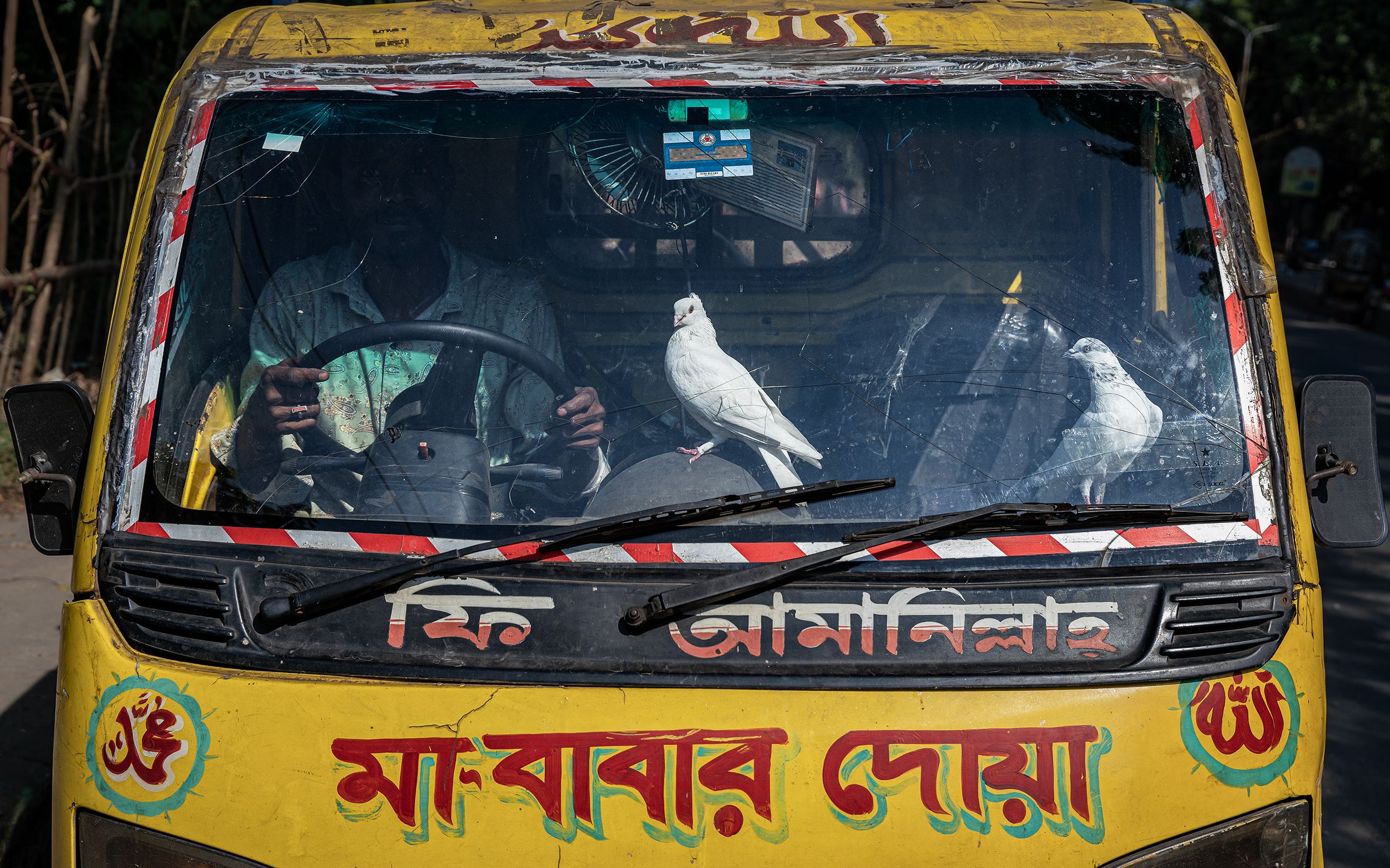 Mohammed Rubel's entry